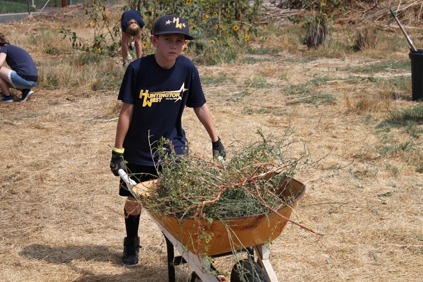 Child Pushing weeds 