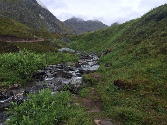 Creek in the mountains