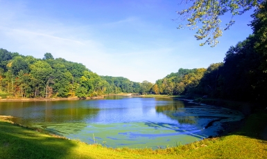 Lake View