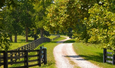 Country Road