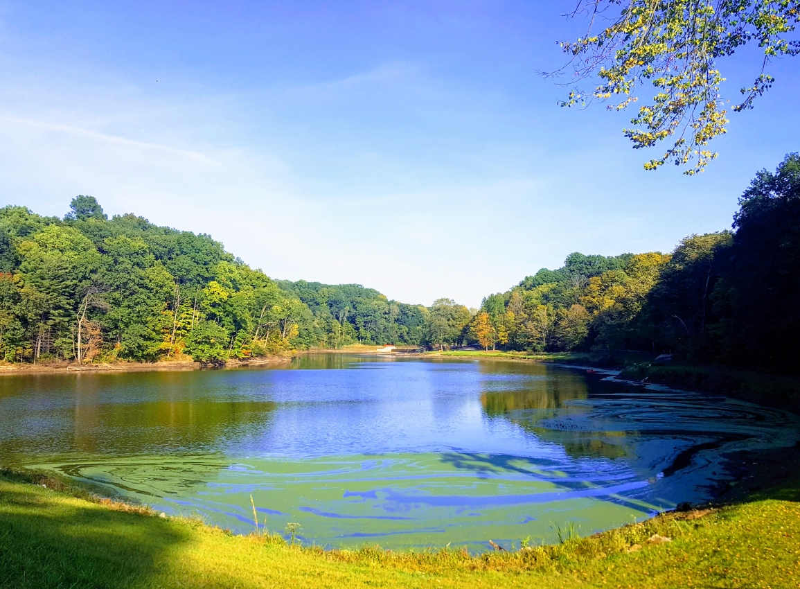Lake View